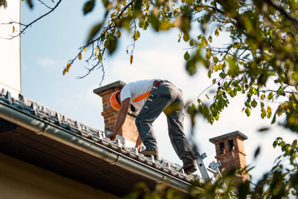 Gutter Replacement in Edinburgh, IN